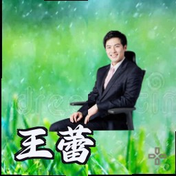 王蕾